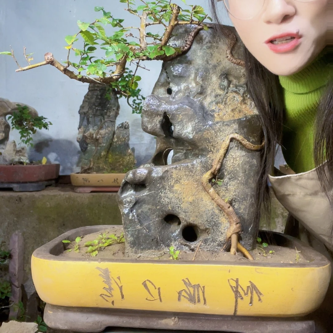 桐***师无花朵直播间不见不散你