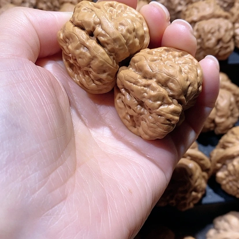 【闪购商品】核桃手串/手链边38蛤蟆头