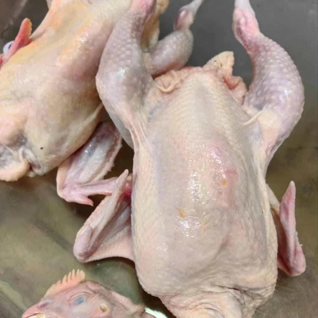 大公鸡约5斤/只（清真）