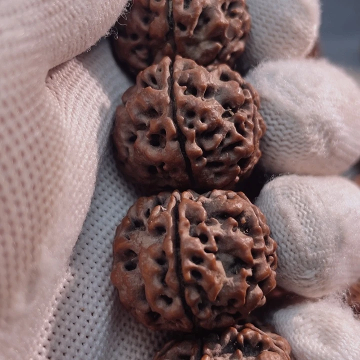 金刚菩提手串24尺寸原生态