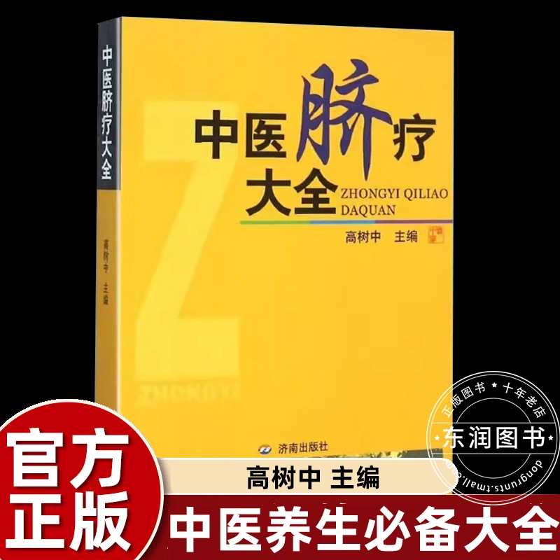 中医脐疗大全高树中医学书籍中医学脐疗书健康养生时尚针灸推拿
