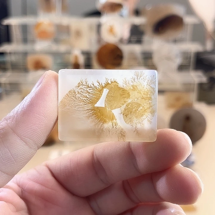 玛瑙/玉髓未镶嵌吊坠(不含链)
