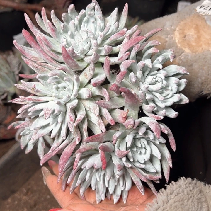 1400哈哈哈哈哈哈哈