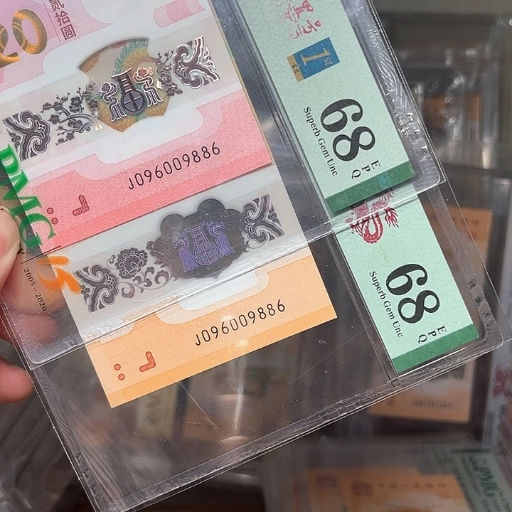 塑料龙钞啊啊啊啊啊啊啊啊啊