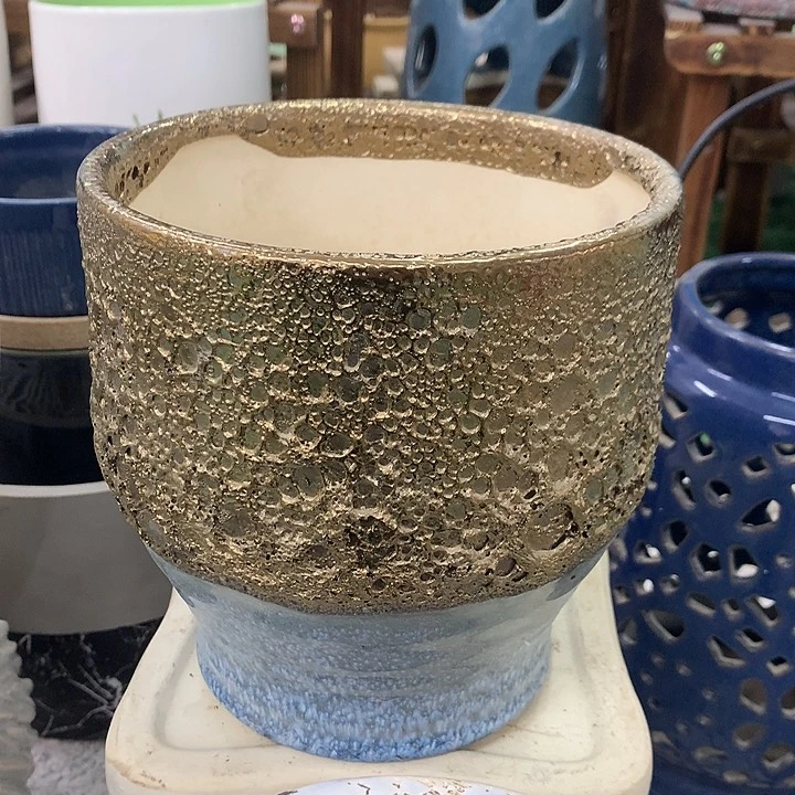 -****-565635666666956685695666