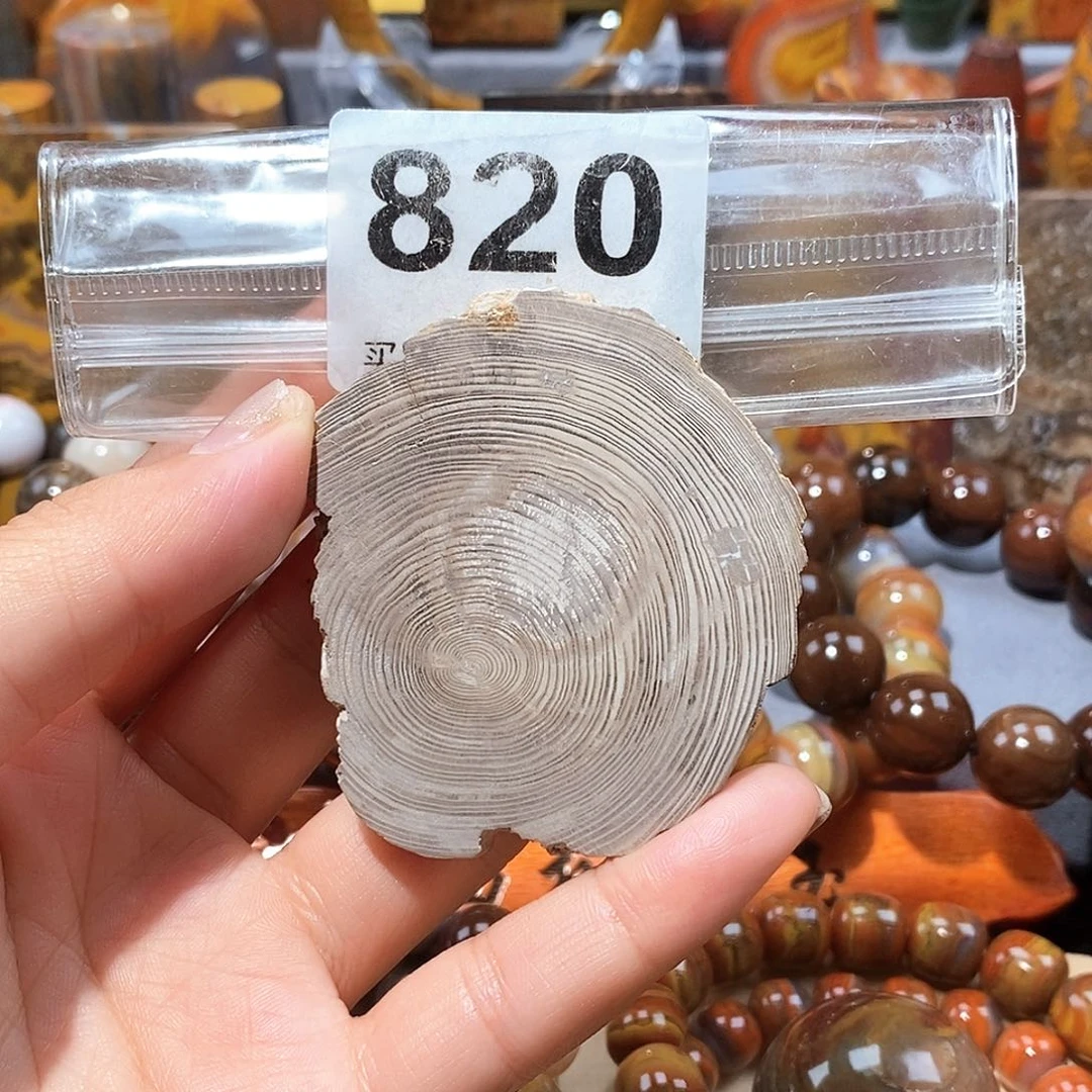 硅化玉天然北票硅化玉牌子未镶嵌天然北票硅化玉牌子