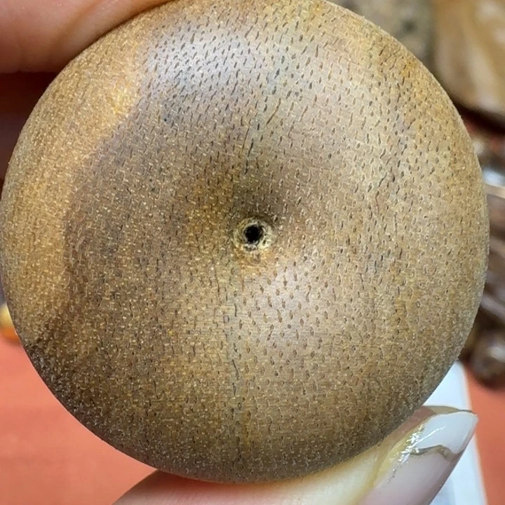 大叶紫檀（黑酸枝木类）