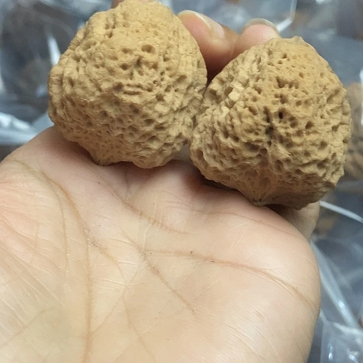 把件文玩核桃云南铁核桃基地27