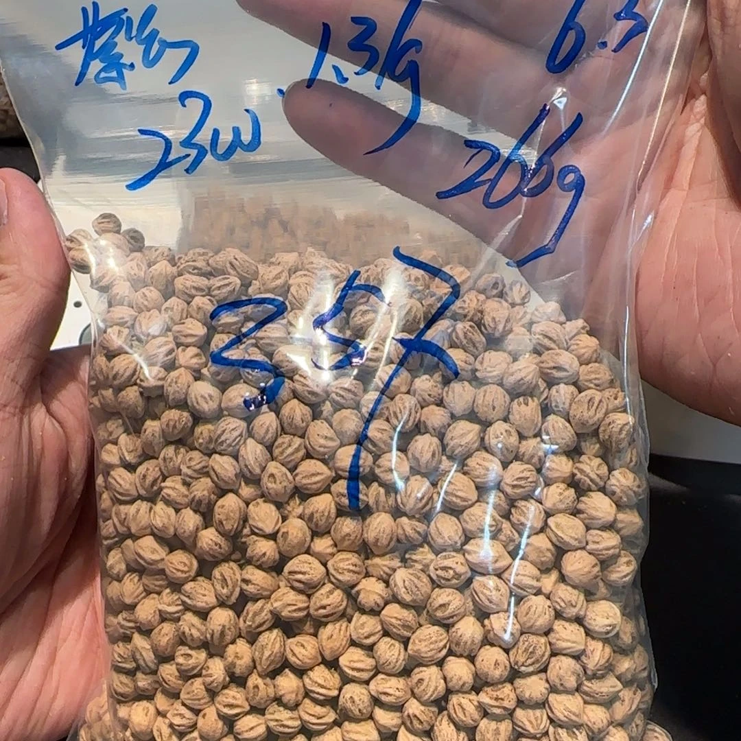 柏香籽/百香籽吊坠是*某6.3 266g