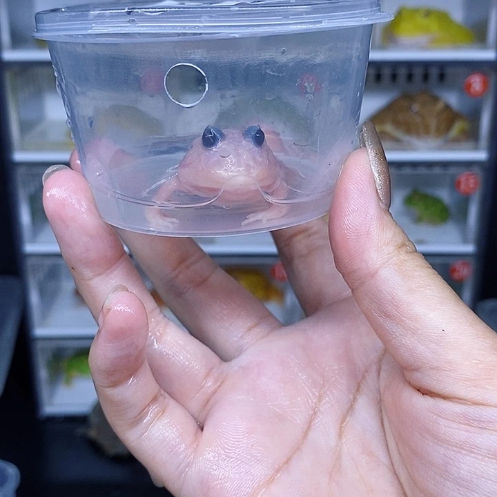 特价秒杀特价正品