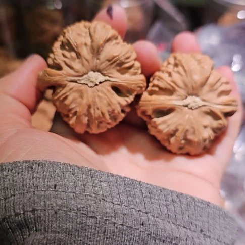 文玩核桃吊坠43白狮子