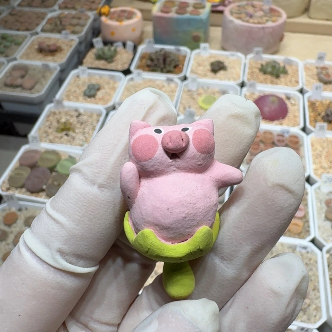 红陶I**S0122-52压盆石