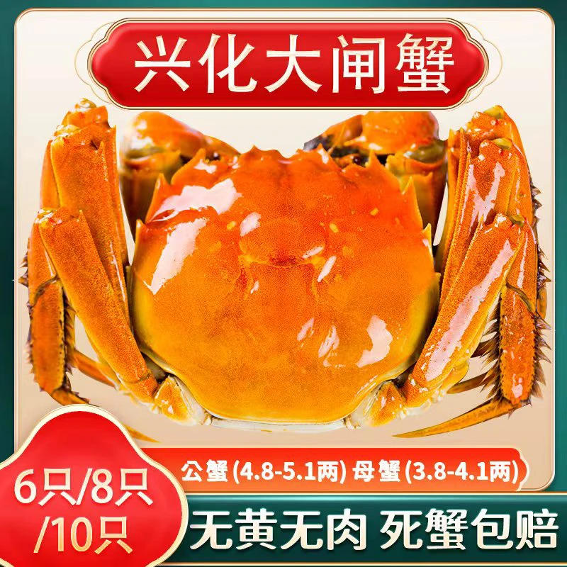 【活蟹】江苏兴化大闸蟹公蟹4.8-5.1两母蟹3.8-4.1两8/10只装