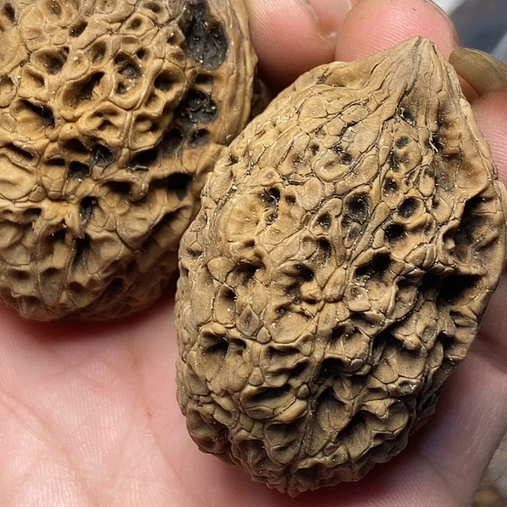 把件文玩核桃云南铁核桃B11