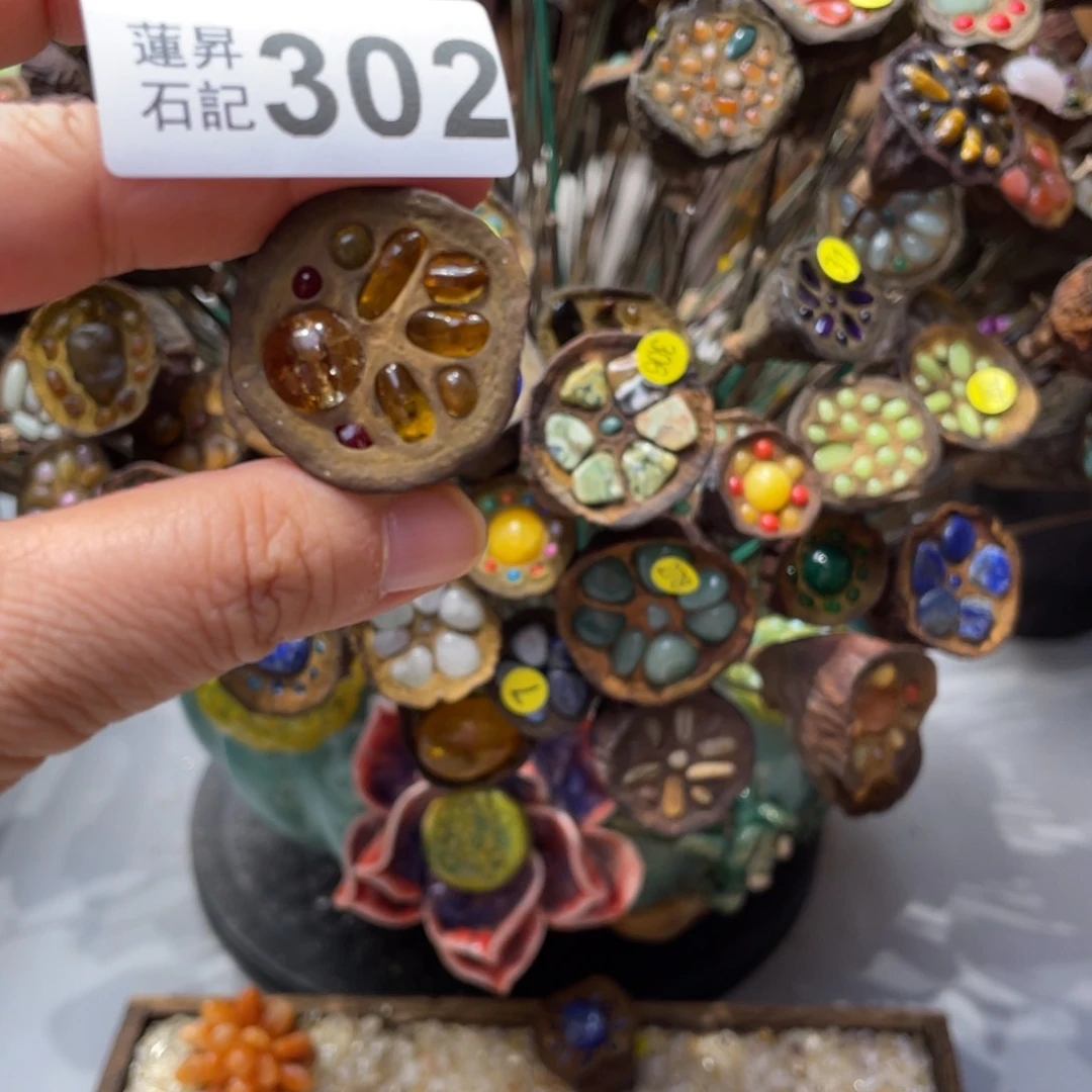 核桃木/黑胡桃（胡桃木）安****子302