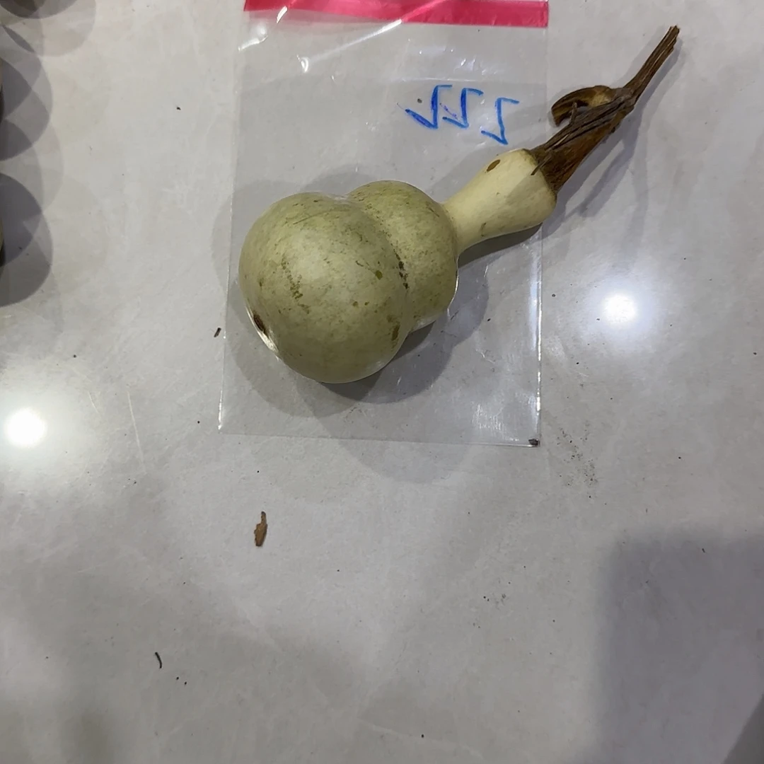 是****青皮不包成青皮不包成