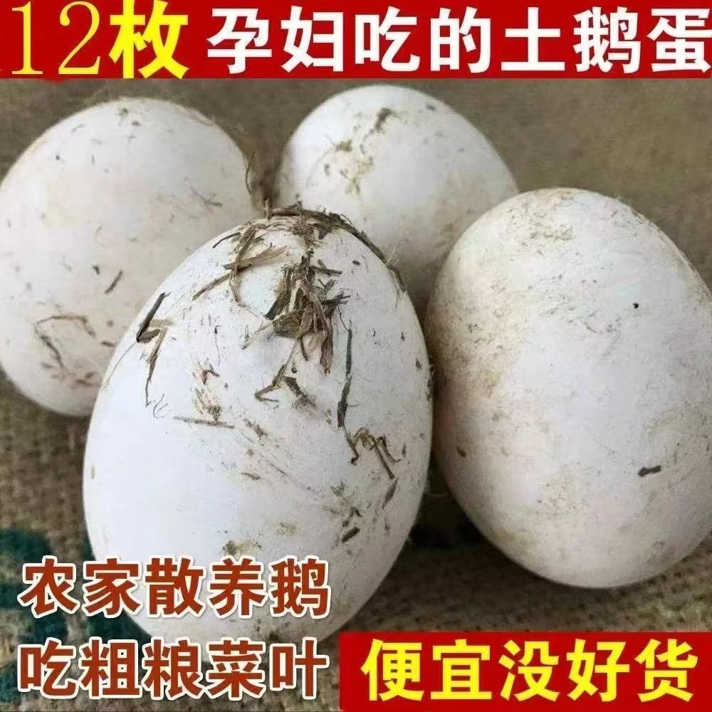 【买6送6】农家鲜鹅蛋现捡现发土鹅蛋一箱12枚130克-160克