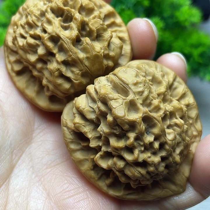 全品无修官帽47尺