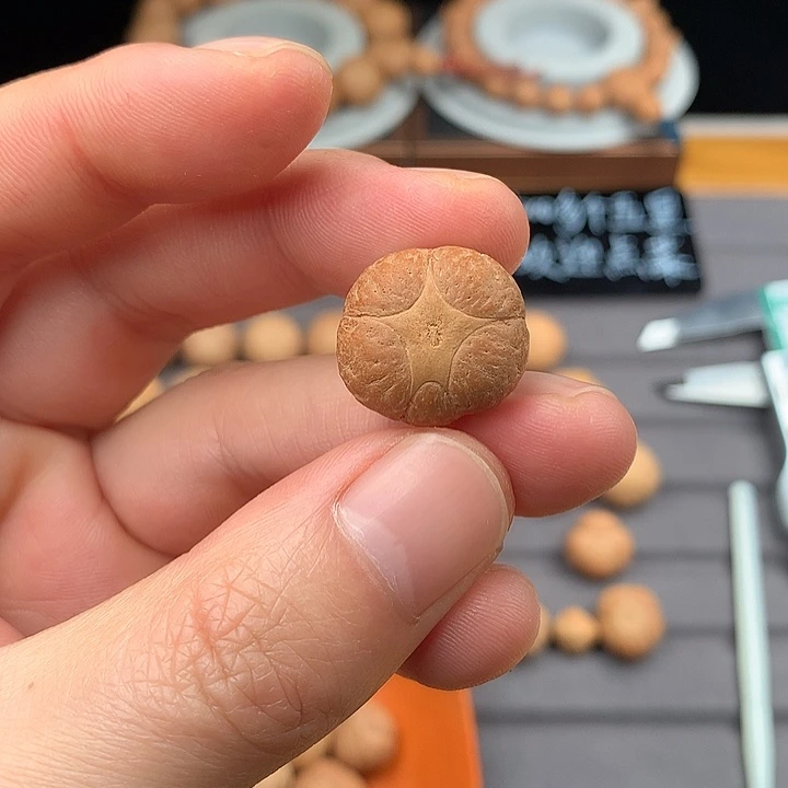 吊坠凤眼菩提19+五星，非质量问题开孔不退