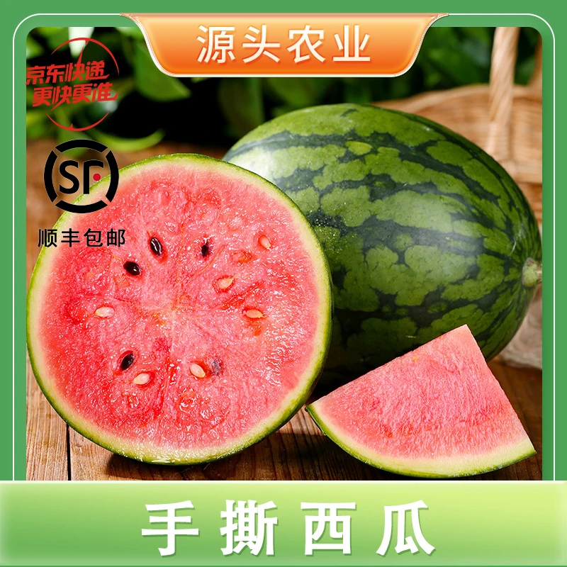 【手撕西瓜】薄皮2k小西瓜新鲜清甜1-2个装 顺丰/京东GYC