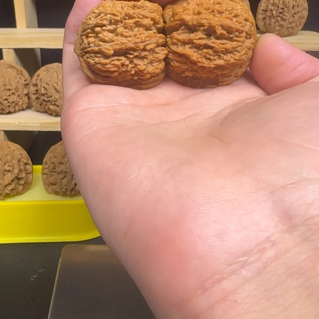 豫***弟龙脊菩提吊坠137 嘎嘎香