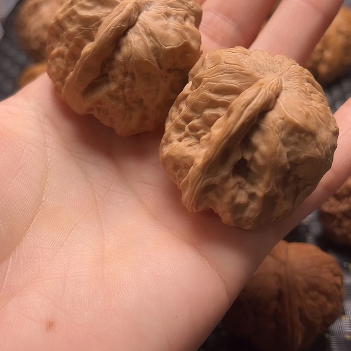 哎****吗文玩核桃把件一帆风顺