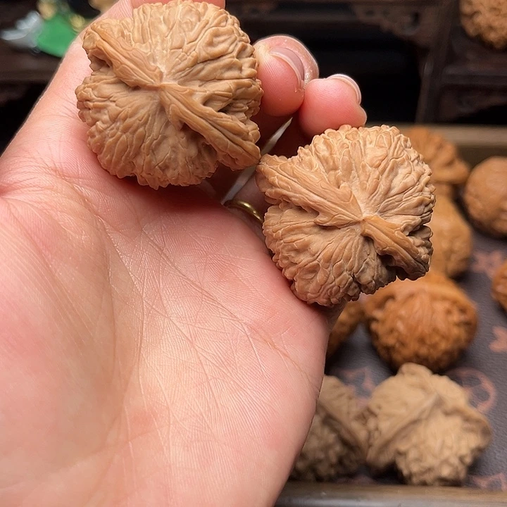 核桃42白狮子福利对