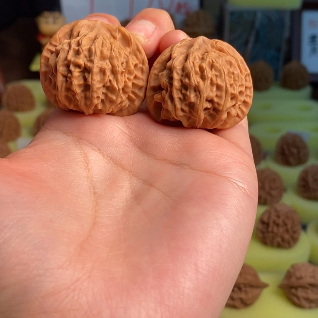 核桃秦岭金公子36尺