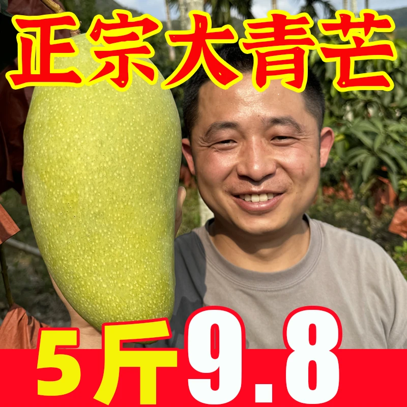 正宗大青芒当季新鲜热带孕妇水果金煌玉芒云南青皮甜心芒整箱包邮