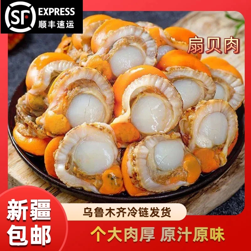 【只发新疆顺丰包邮】新鲜现剥冷冻扇贝肉无沙500克/1袋饱满肥美