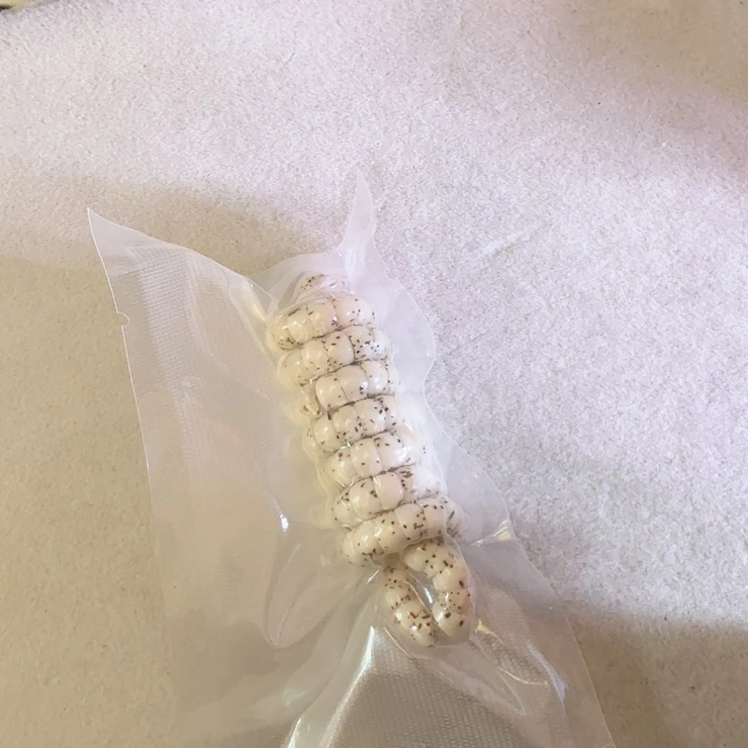 星月菩提吊坠原生态大肠6