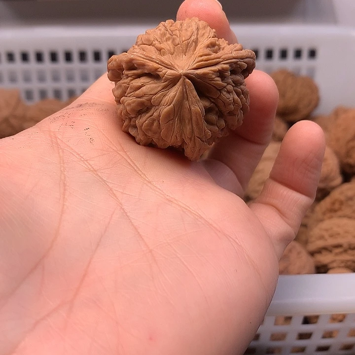 ****赖文玩核桃吊坠文玩核桃