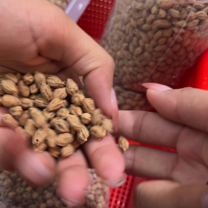 柏香籽/百香籽吊坠风*3