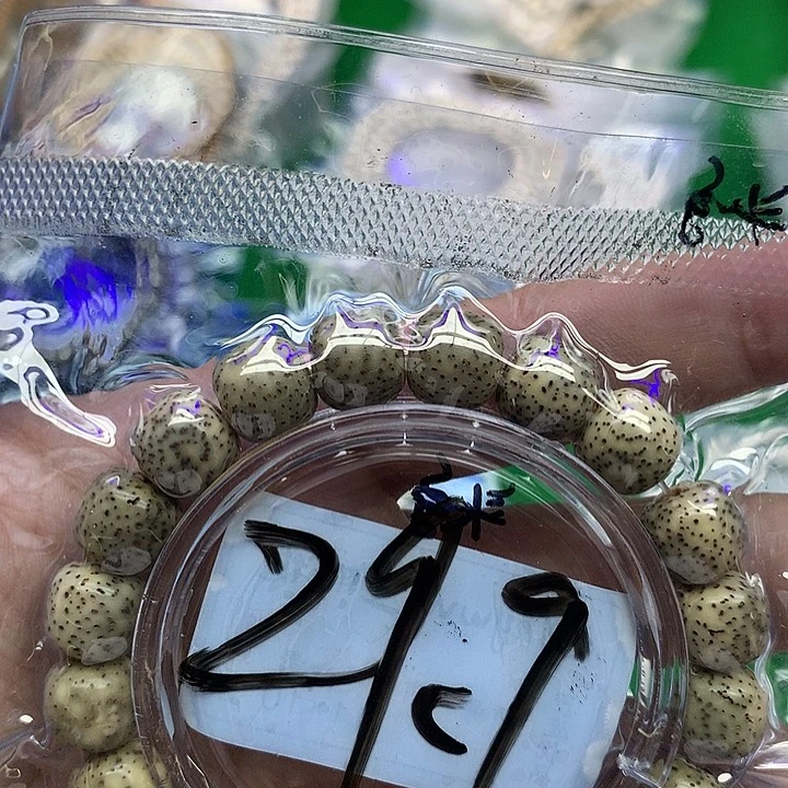 星月菩提把件星月