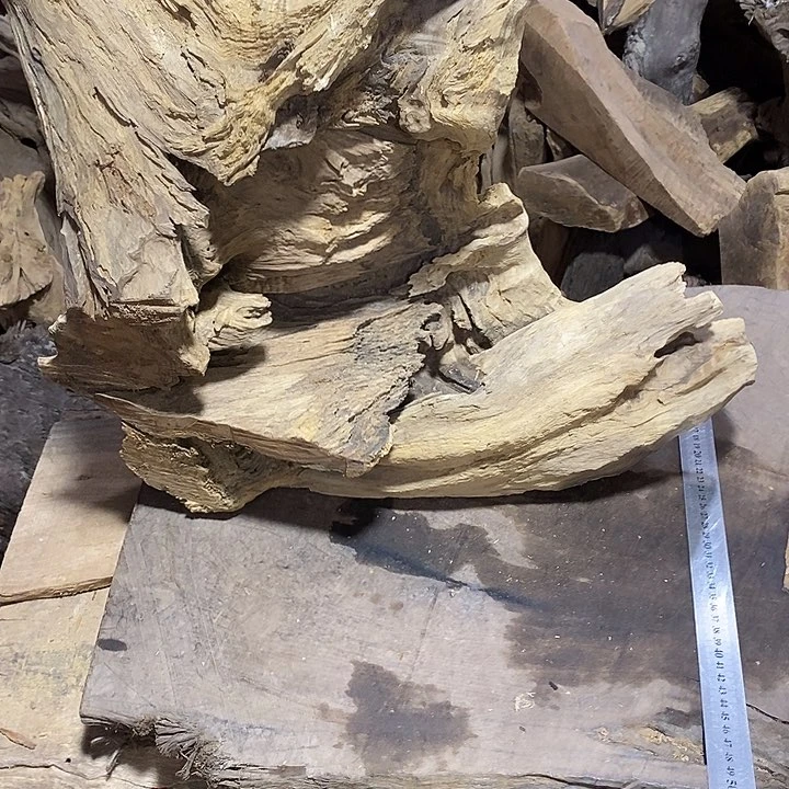 乌木类金丝楠木小叶