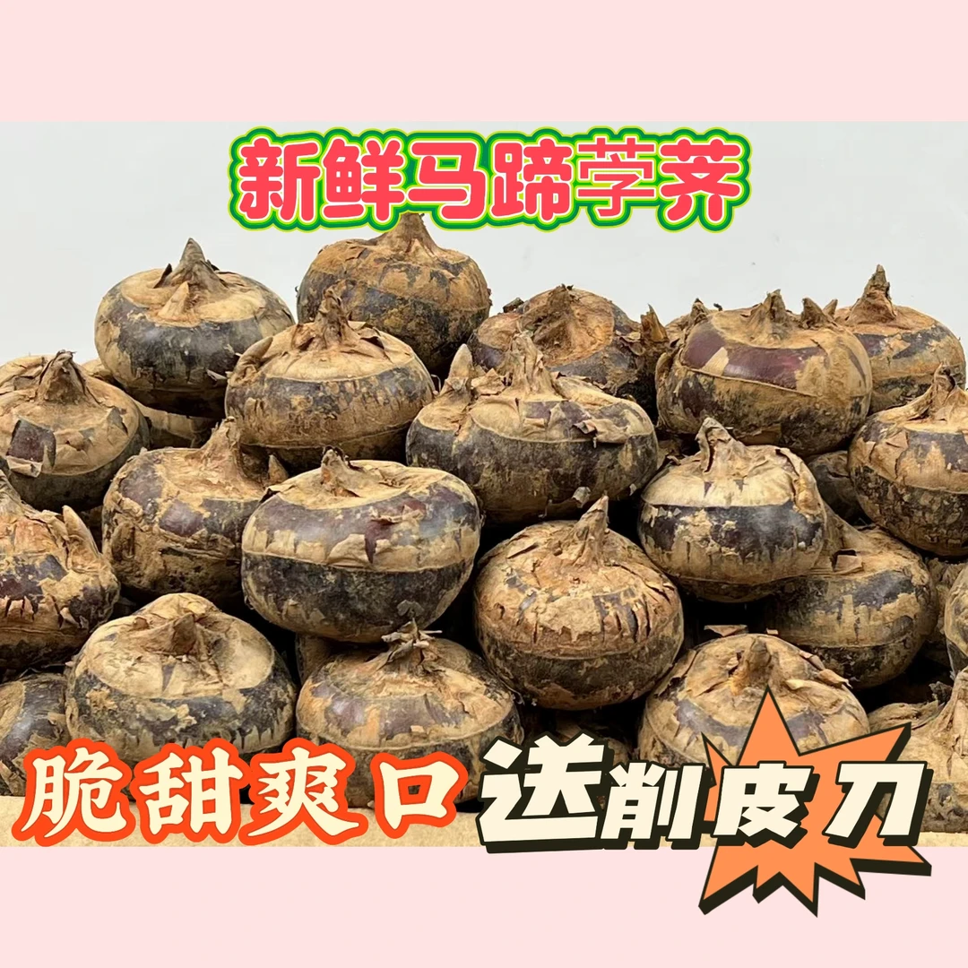 【金锋专属】广西贺州新鲜红皮马蹄清脆爽口清甜无渣