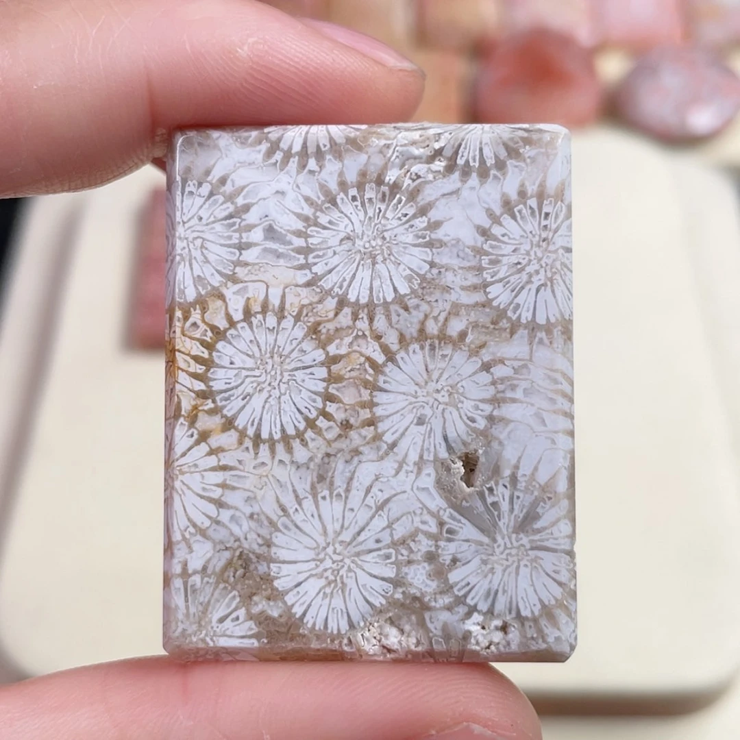 【闪购商品】未镶嵌吊坠(赠链)硅化玉