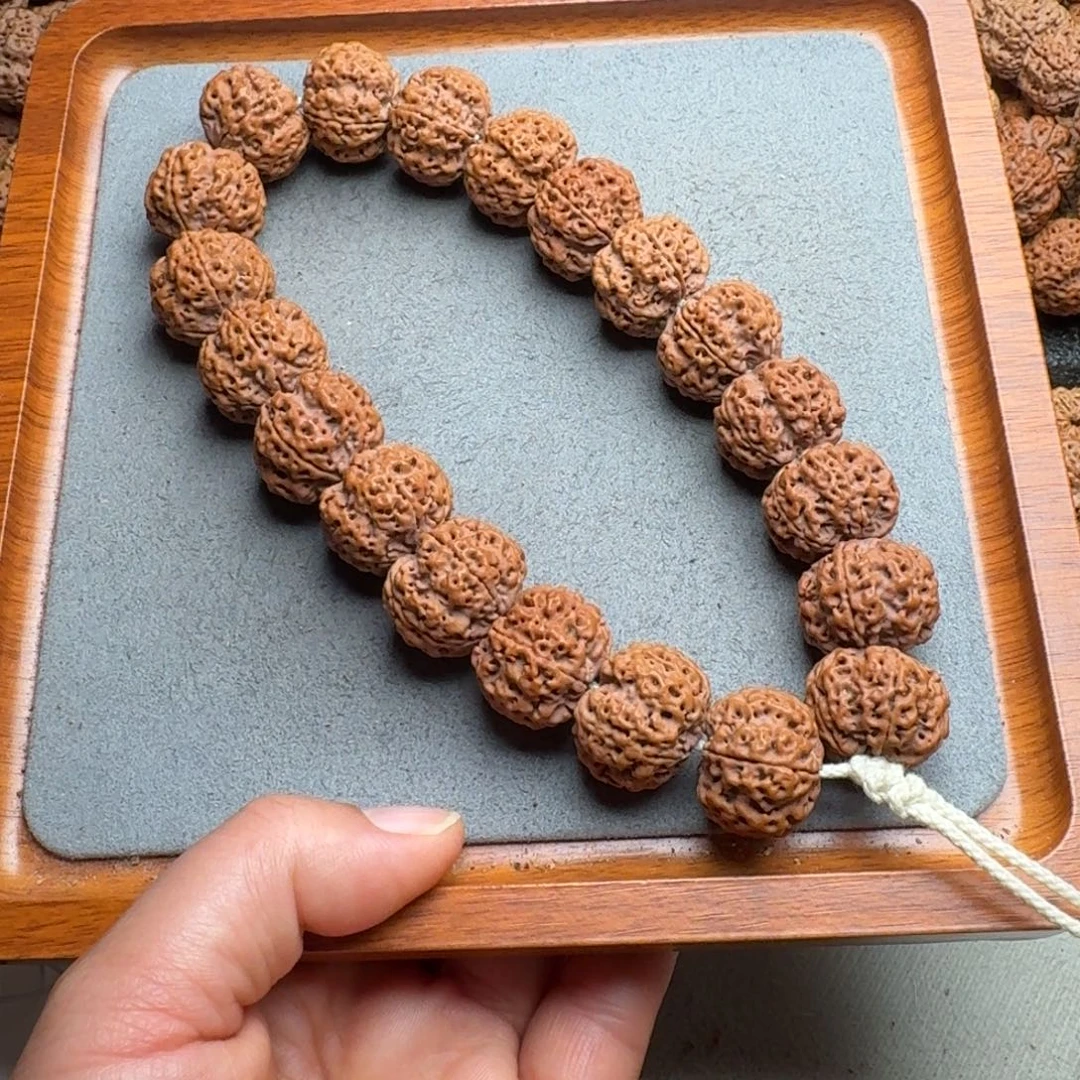 菩提菩提10号尼泊尔大金刚23蜂窝手持