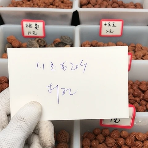 桃核吊坠路*龙纹桃核的搭配