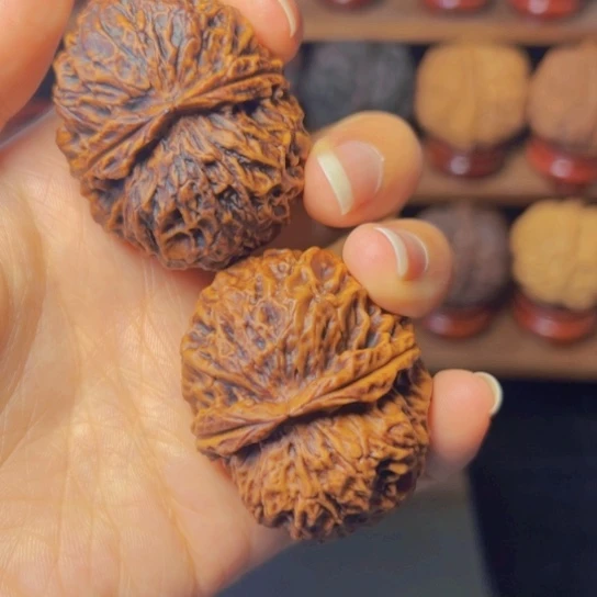 核桃手串/手链聚宝金蟾 46