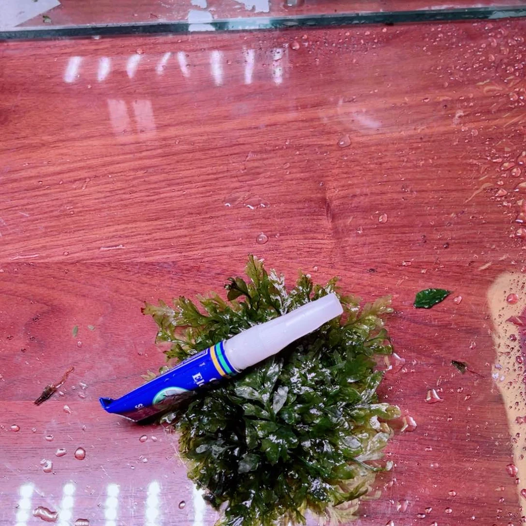 你***吧美小呆精品水下叶