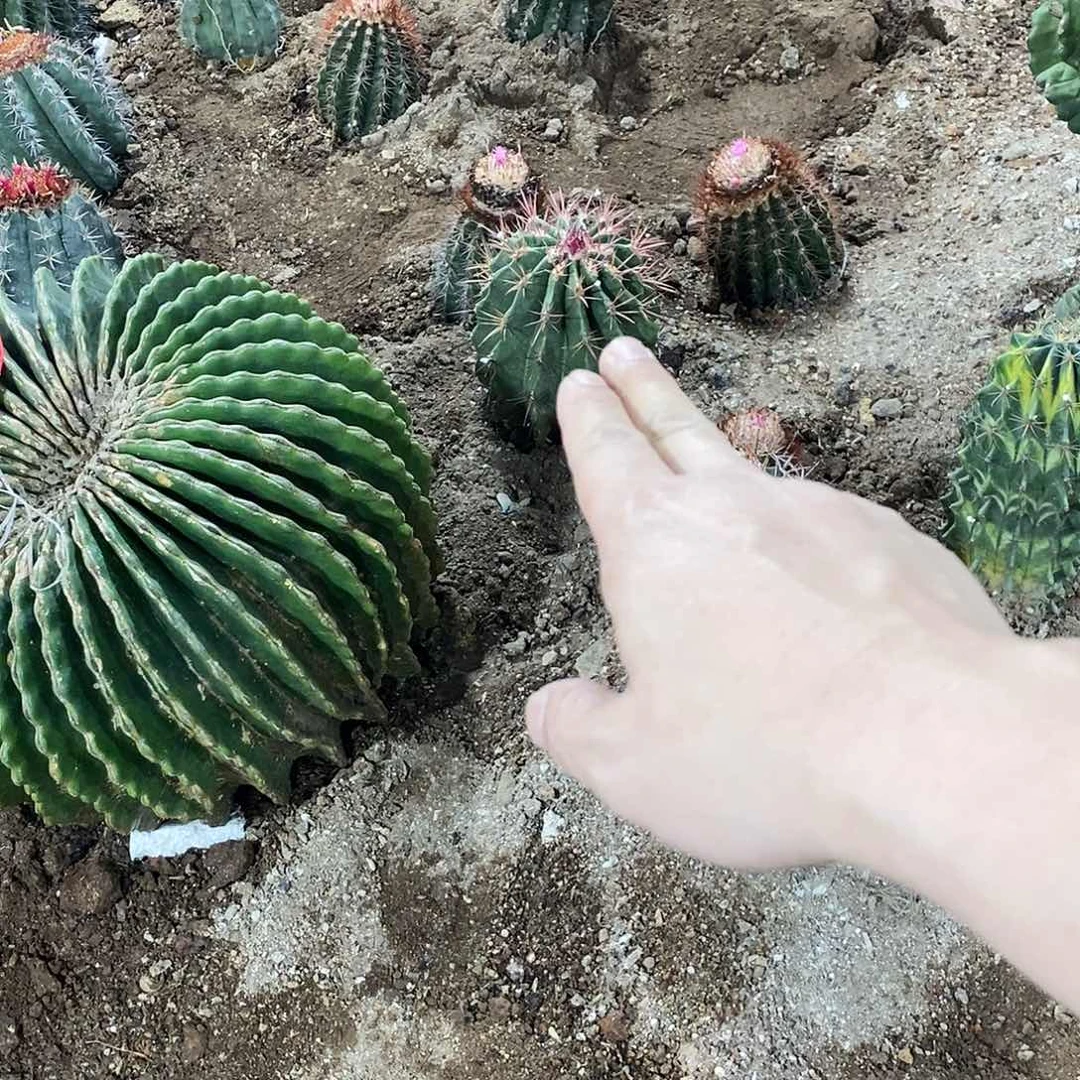 笨*猪00000000000000900