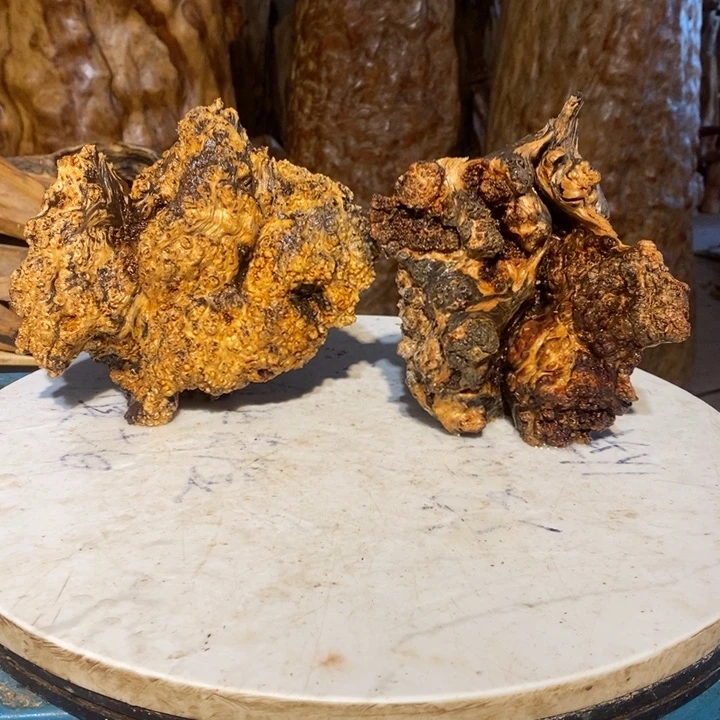 聚*斋我们都是你的粉丝70