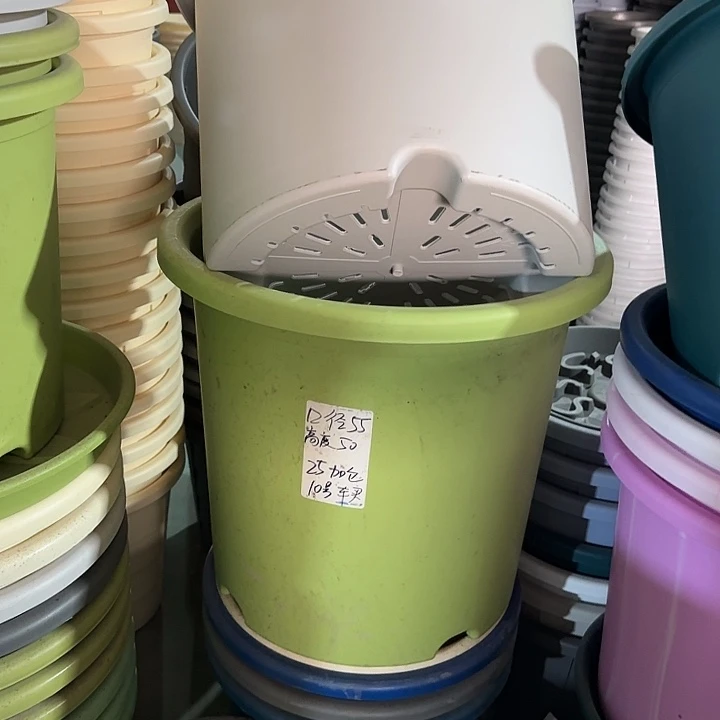 微瑕55口无托果绿2个