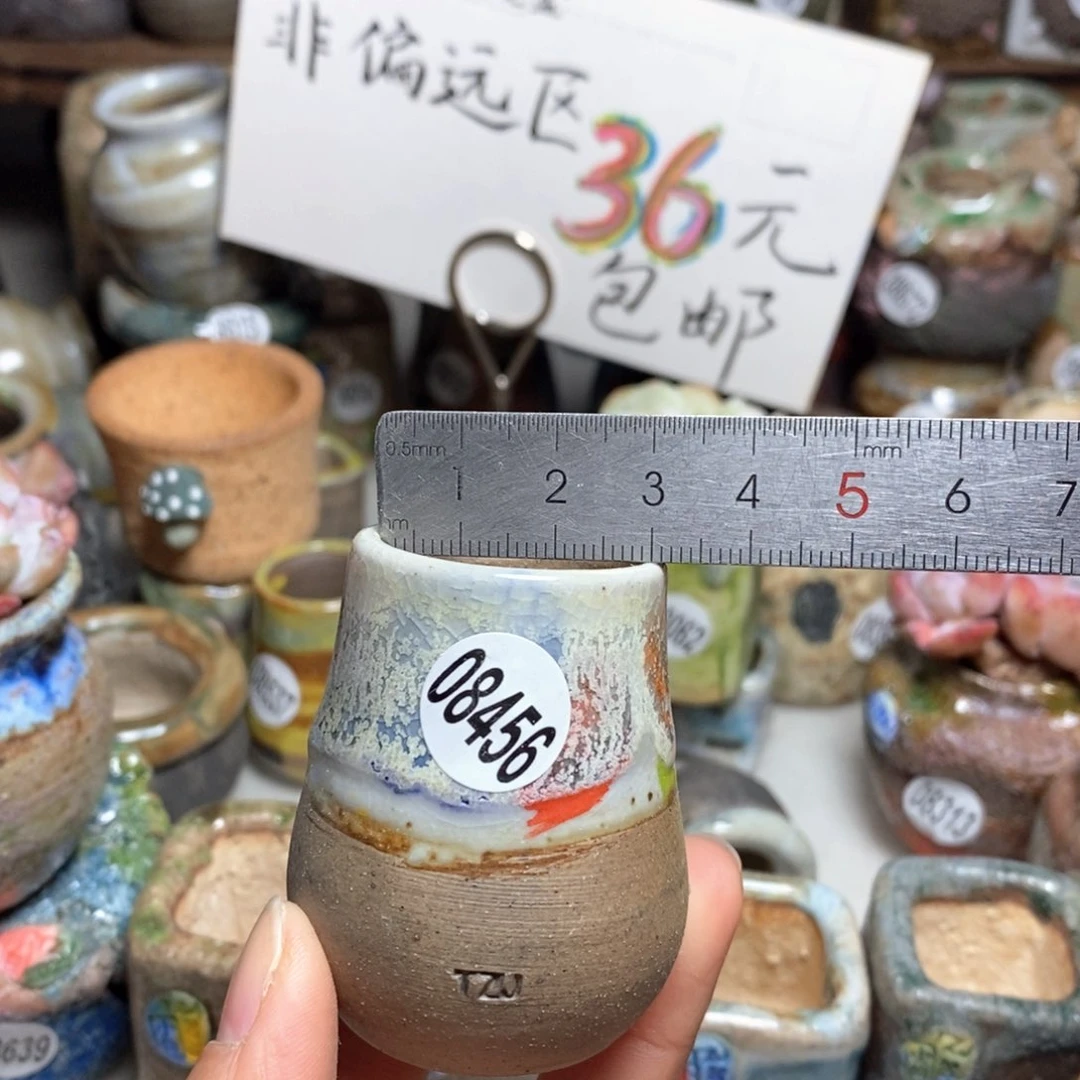 花盆拍5送一个小礼物