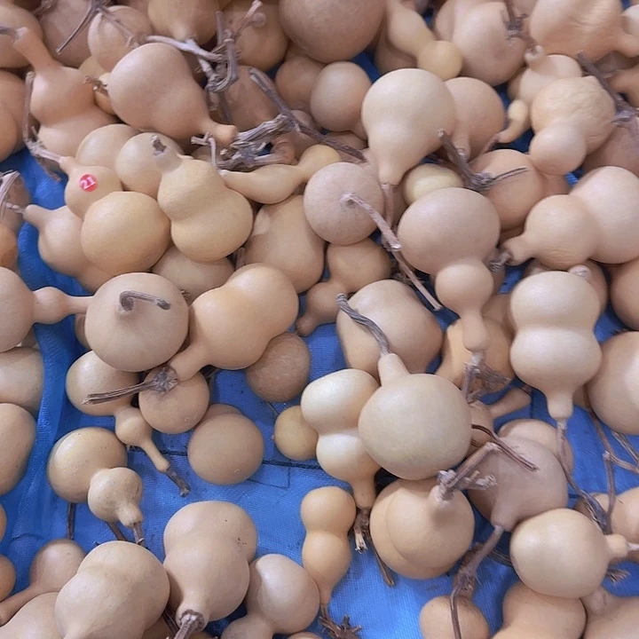 匠***承广军一支由五支三线队员的突击手