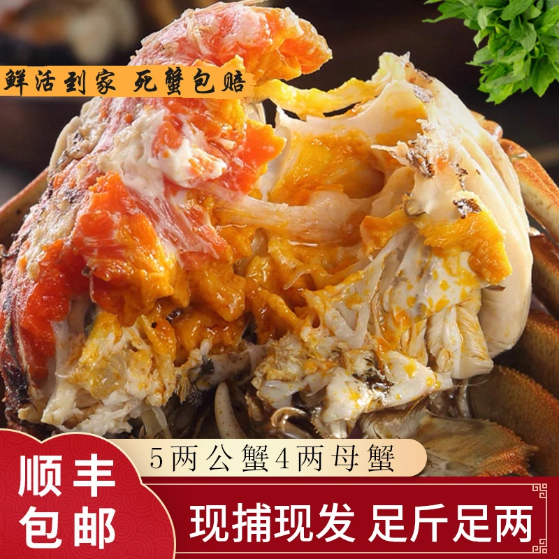 【活蟹】蟹坐标精选公蟹5.0两-4.7两母蟹4.0两-3.7两公母组合大蟹D
