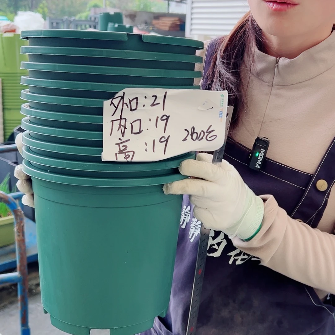 瑕疵2加仑盆墨绿色10个无托