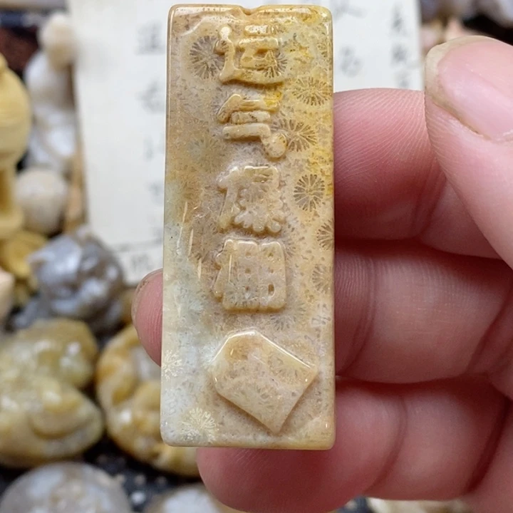 颈饰未镶嵌硅化珊瑚（珊瑚玉）有瑕