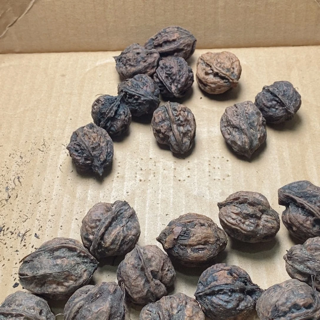 文玩核桃吊坠核桃53
